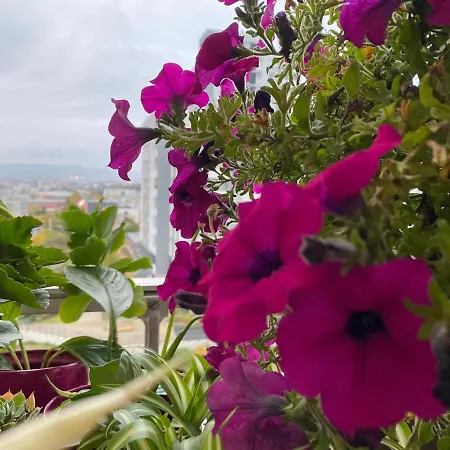 Les Meubles Les Domes Du Parc アパート クレルモン・フェラン