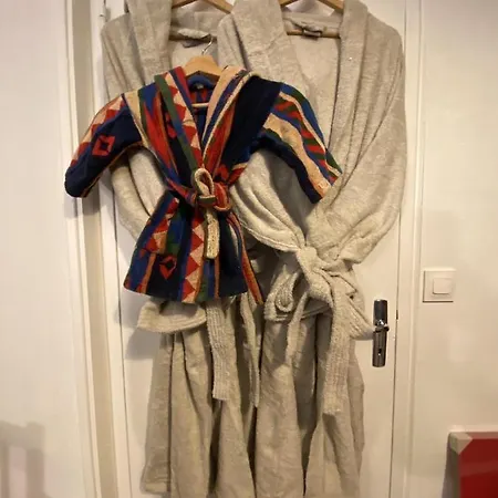 Les Meublés Les Dômes Du Parc Appartement *
