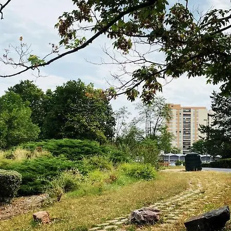 Les Meublés Les Dômes Du Parc Clermont-Ferrand