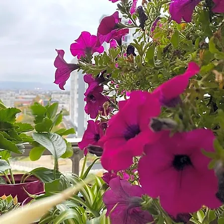 Les Meublés Les Dômes Du Parc * Clermont-Ferrand