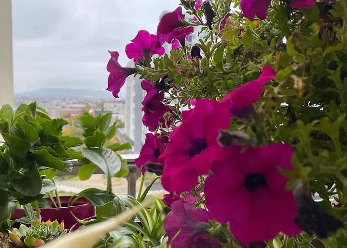 Les Meubles Les Domes Du Parc דירה קלרמונט-פרנד